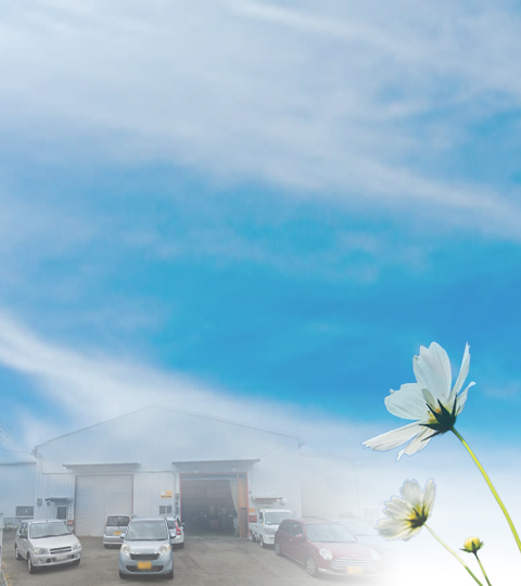 �Ԍ��̃X�^�C������